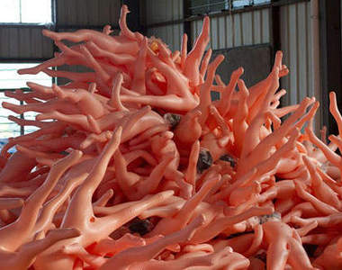 〝閱覽注意〞大陸性愛人偶工廠18＋　