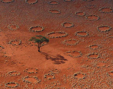 非洲神秘《仙女圈》 這些圈圈是神明的腳印嗎?