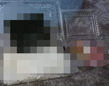 全日本《最便宜便當》只要45塊錢!?(;゚д゚)