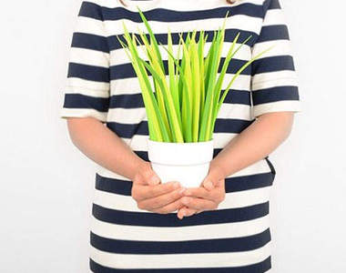 《青草筆》風一來也會左右擺動喔~~