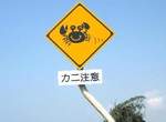 《螃蟹注意》這個標示是要注意什麼呢? 《螃蟹注意》這個標示是要注意什麼呢?