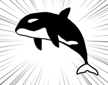 《殺人鯨著色圖》請上色......啊本來就黑白是要怎麼塗啦啊啊啊啊啊(抓頭)