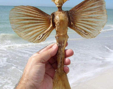 鹹魚藝術家Juan Cabana 你們在沙灘上發現的美人魚屍骨~其實都是他的傑作(嚇)