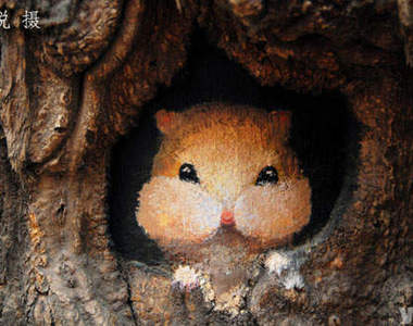 《畫樹洞的女孩》是什麼躲在樹洞裡？