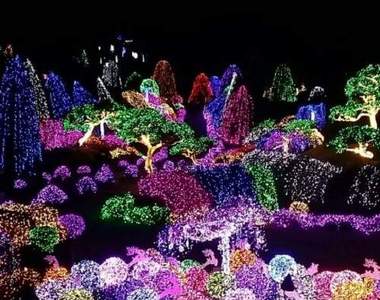 超美《五色星光花園》網友:不來你會後悔喔~