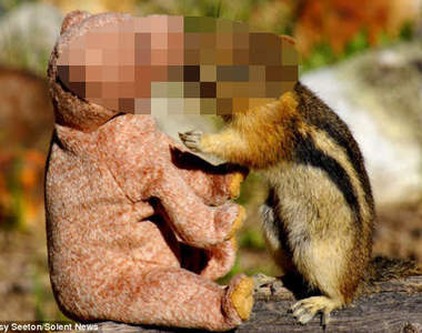 《接吻魔花栗鼠？》唉唷～人家只是熱情一點嘛