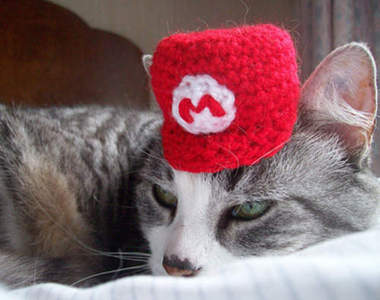 《貓的毛線帽》萬聖節一起變裝嘛～推推(੭ ˃ ω˂)੭ु