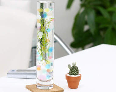 《日本正夯玻璃杯水草》辦公室養水草才是王道