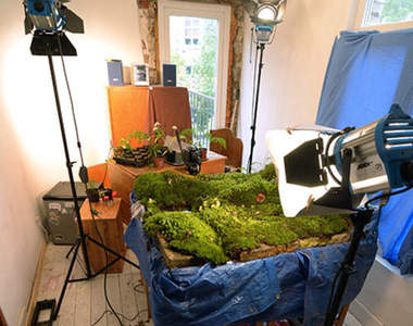 超逼真《室內風景攝影》讓你拍出迷你大自然景觀園~