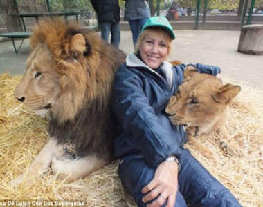 《與猛獸的親密接觸》跟獅子kiss也沒問題的啦～