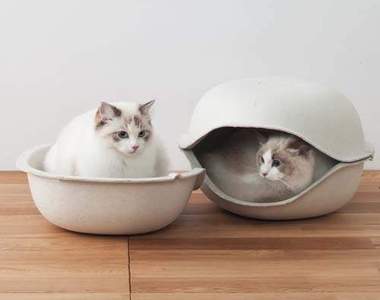 《貓殼牌寵物窩》一隻貓睡也好～兩隻貓用也OK(• ε •)