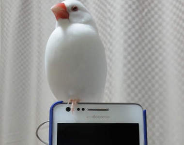 《文鳥耳機孔塞》可愛但又礙事的存在...
