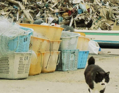 日本震災災區中的貓島《田代島》也請繼續守護著這裡的島民