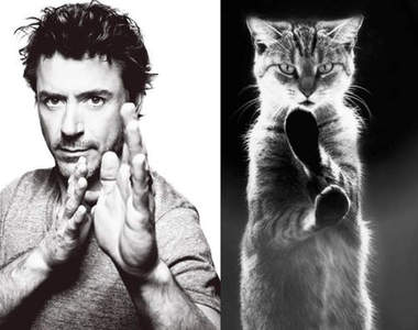 如果貓與帥哥擺出一樣的POSE~誰更可愛呢?