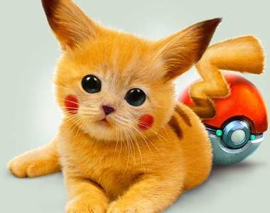 真實版神奇寶貝 可能是什麼動(植)物？