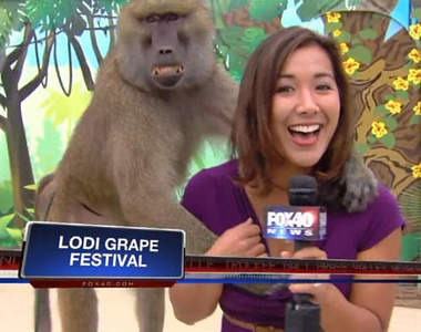 直擊！《猴抓奶》秀~這時候就考驗記者的功力了(//▽//)