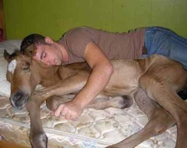 《喝醉時帶回家的東西》你真的什麼都不知道嗎?