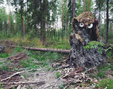 森林裡的《大眼怪獸》是誰躲在那裡偷看?