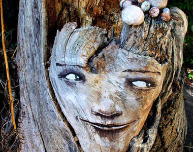 現實版《樹精》 ~ 它們跟人一樣會哈哈大笑喔