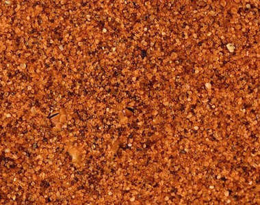 《動物叢林隱身術》~你找不到我~你找不到我~