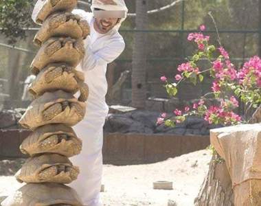 《杜拜炫富法？》這些事只在杜拜發生