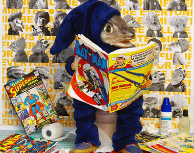 魚頭人的世界　也許該小小掛上閱覽注意的藝術作品