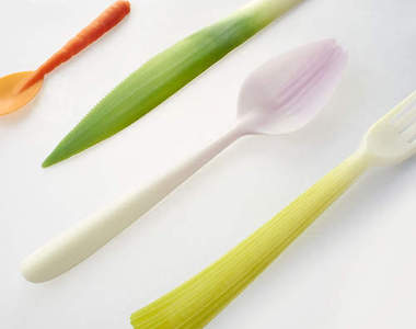 《環保免洗餐具》蔬果造型看起來好健康美味