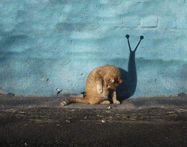 可愛《街頭藝術》 他們都在默默的觀察你們喔