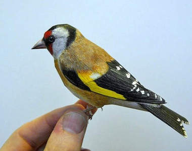 超真實《3D鳥兒》原來他們是用......做的?