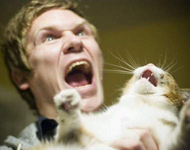 《拒絕抱抱的貓》喵的～就說不要抱我了～～～