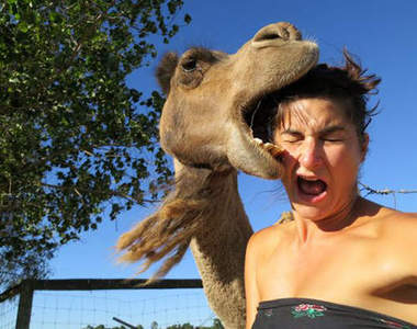 《野性vs女性》女人被動物襲擊驚恐事件到處有！？