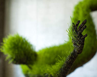 《植物人雕像》隨著時間長成綠色毛怪～