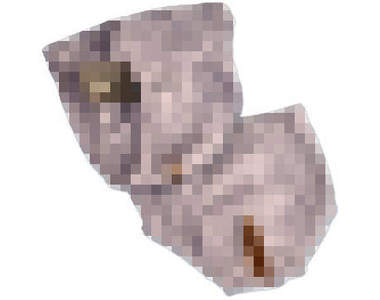 《髒內褲錢包》＂屎＂上最安全的鈔票放置處～