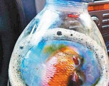 杯底不可養金魚  那可樂瓶裡呢...？（吐）