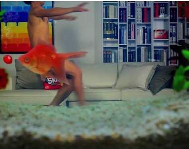 【問卦】Whhhhhhy有事?~有事嗎大紀事???