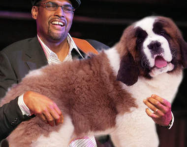 狗狗電貝斯 網友惡搞合成的活體樂器〝汪!?〞