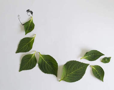 《時尚的葉子》原來葉子可以這麼美