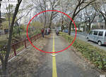 《日本Google街道奇景》那些鳥在眼睜睜的注視著你啊~~ 《日本Google街道奇景》那些鳥在眼睜睜的注視著你啊~~