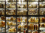 28萬件玻璃管標本沉睡的《柏林自然博物館》 28萬件玻璃管標本沉睡的《柏林自然博物館》
