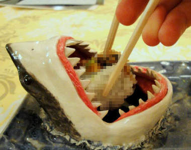 《鯊魚壽司盤》媽...我的盤子裡有鯊魚...⊙.◎