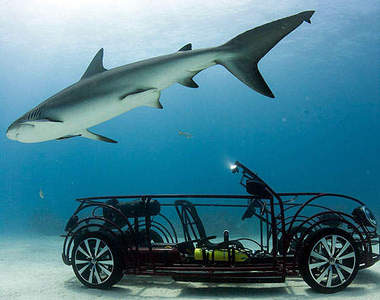 《VW敞篷金龜車》是被鯊魚啃到只剩下骨架了嗎?(驚)