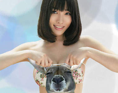 今野杏南 當日本網友聊起這位巨乳寫真女星時提到了...