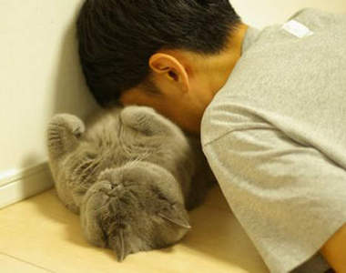 《睡不好的下場》失眠變胖又變笨真是慘慘慘