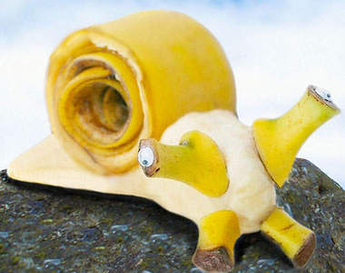 創意《食材動物》 這麼可愛哪吃得下去？ 