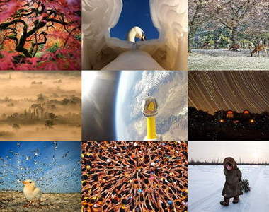 宅宅被分享最多《2012攝影系列TOP 10》 不管看幾次都超~美