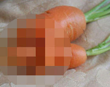 《擁抱蘿蔔》這蘿蔔令人不想歪也難啊//▽//