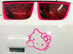 粉嫩嫩《Hello Kitty大黃蜂》這就叫帥氣中帶點可愛 ♥ 粉嫩嫩《Hello Kitty大黃蜂》這就叫帥氣中帶點可愛 ♥