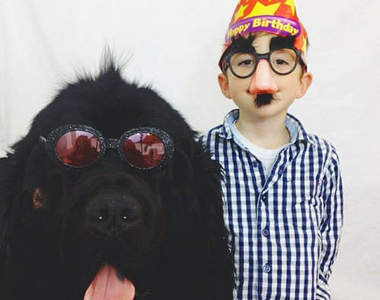 《小男孩與芬蘭犬》我很大可是我很溫柔❤