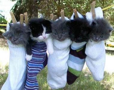 讓女友困擾的男友禮物　「心意最重要」都是騙人的嗎（淚）