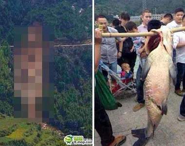 大陸村民吃了超大魚　山體滑坡的區域卻激似魚形？！